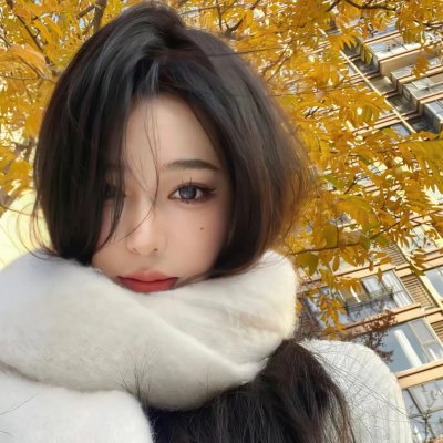 执法者们粤语